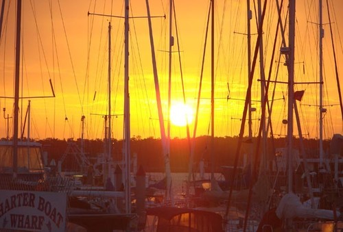 Forest of rally yachts at sunset in the Bundaberg Port Marina © SW
